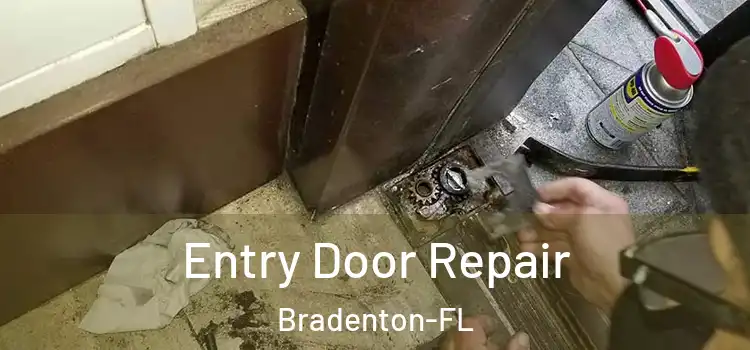  Entry Door Repair Bradenton-FL