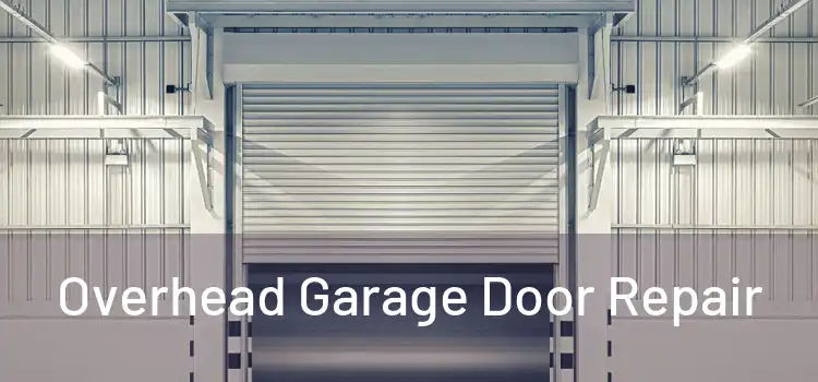  Overhead Garage Door Repair 